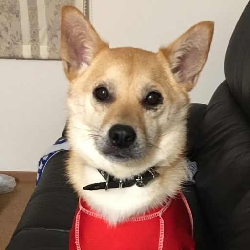 ルナ